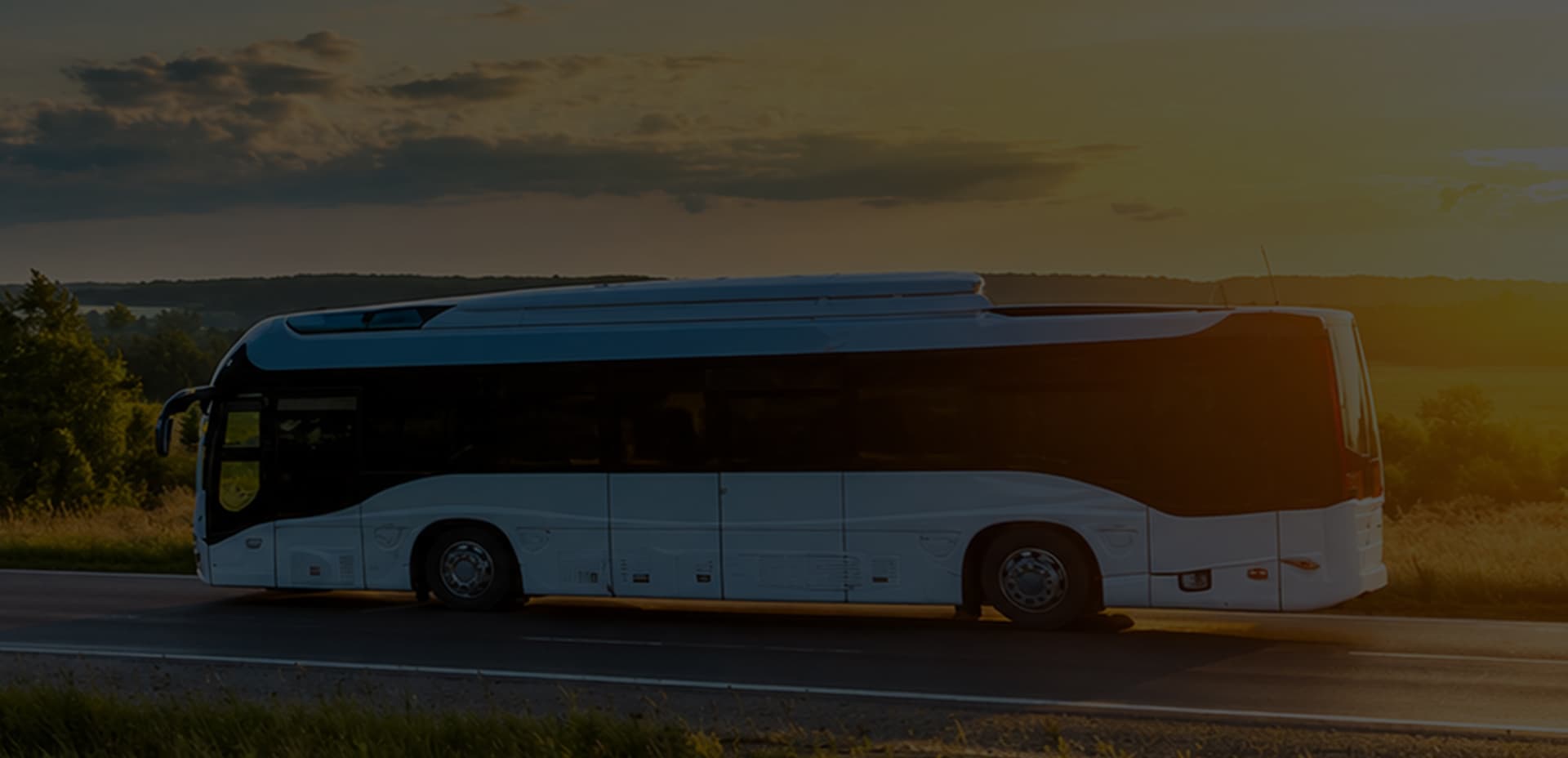 MyWayBus